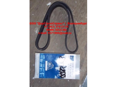 Ремень 8PK800 ЕВРОПА 2.21078 фото 1 Пермь