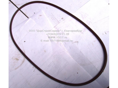 Кольцо уплотнительное задней ступицы F FAW (ФАВ) 2406033 для самосвала фото 1 Пермь