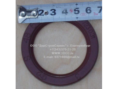 Сальник 48х65х6,2 H HOWO (ХОВО)  фото 1 Пермь