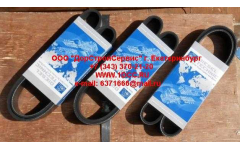 Ремень 8PK1055 фото Пермь