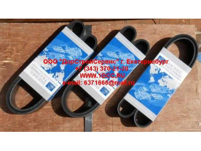 Ремень 8PK1055 ЕВРОПА 2.15363 фото 1 Пермь