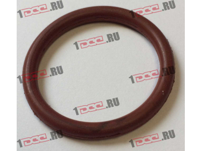 Кольцо уплотнительное штуцера форсунки резиновое F FAW (ФАВ)  для самосвала фото 1 Пермь