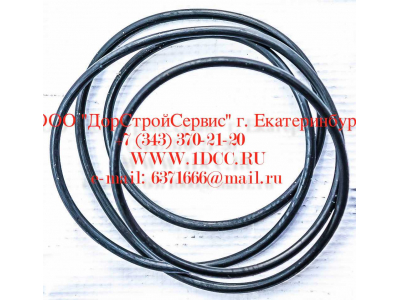 Кольцо уплотнительное ø338х3.55 гидромуфты ГТР CDM 833 Lonking CDM (СДМ) ø338х3.55 фото 1 Пермь
