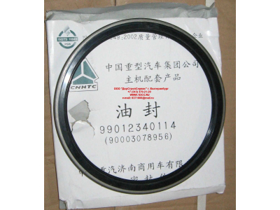 Сальник 190х220х15 задней ступицы наружный H/SH HOWO (ХОВО) WG9112340114 фото 1 Пермь