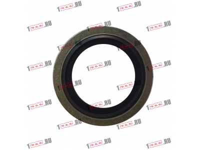 Шайба уплотнительная резинометаллическая D-24 H2 HOWO (ХОВО)  фото 1 Пермь