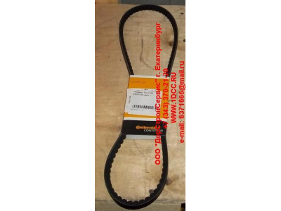 Ремень 13х1125 Европа ЕВРОПА  фото 1 Пермь