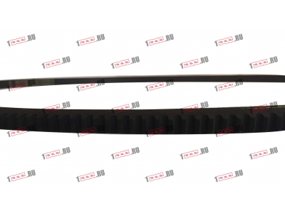 Ремень 13х1250 ЕВРОПА 13x1250 фото 1 Пермь