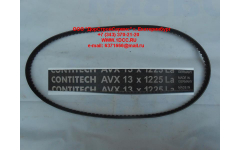 Ремень 13х1225 \Omn MAN,MB,DAF фото Пермь