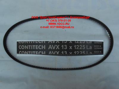 Ремень 13х1225 \Omn MAN,MB,DAF ЕВРОПА AVX13X1225 фото 1 Пермь